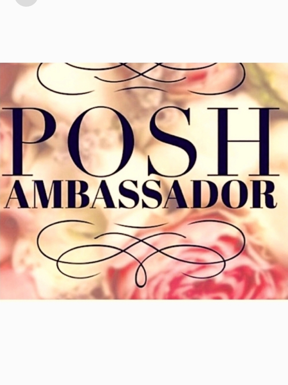 Posh Ambassador